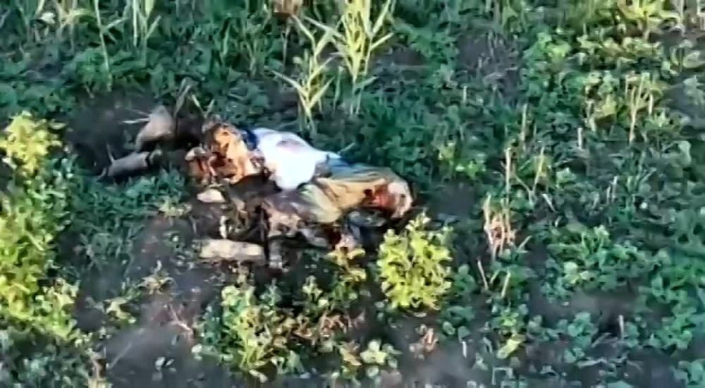 ��� ��� ���� ������� ��������� ������� ����� �������� �� ����� �������