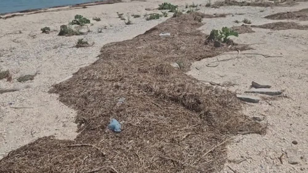 ������ � ��������� ����! � ����� ������� � ���, ��� ���� �������� � ������� ������ ����������� �����