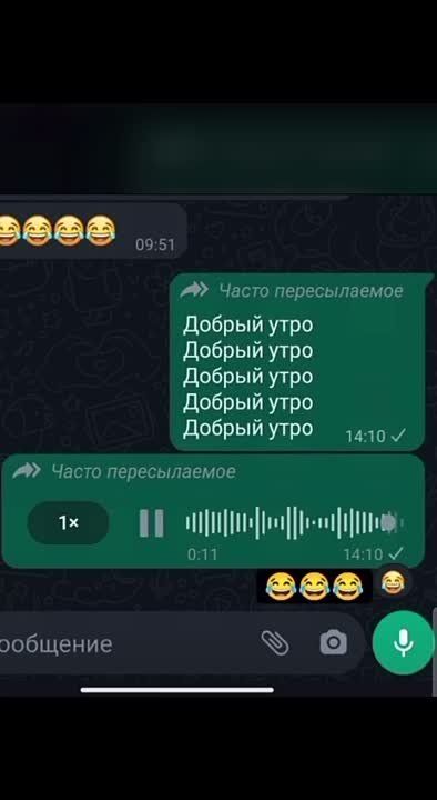 #������������