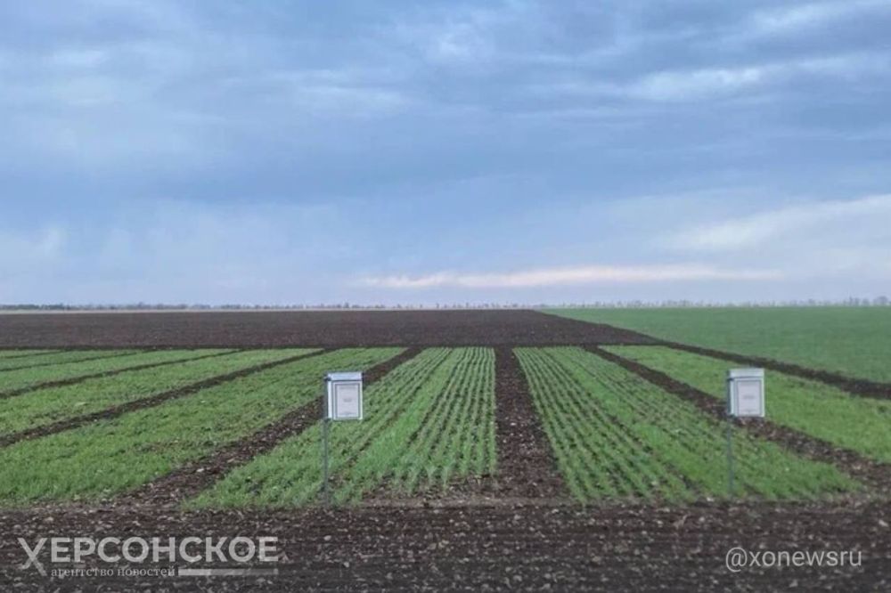 ���������� ������� ������� � ���� ���� ����� 1,3 ���� ������ �� �������� ��������� ���������