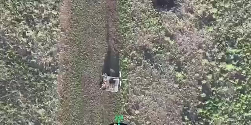 ����� ������ ����� ���������� ���� �� ������������� ������������ ����������� ��������� ��� �� ����������� �����������