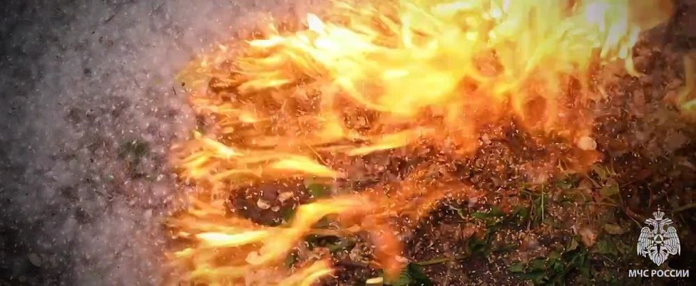 �������� ��� - ����� � ������������!