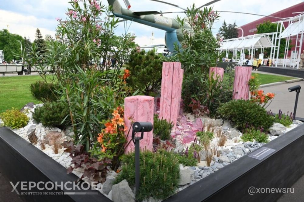 ���������� ������� ����������� ����������� ���������� �� �������� ��������