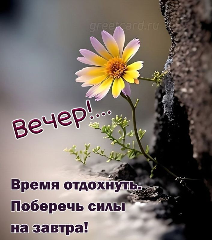 ���� ������� ������, ������!