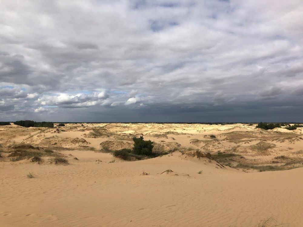 4 ����� � ����������� ������, ������� ���������� ����� ������� ������ �������