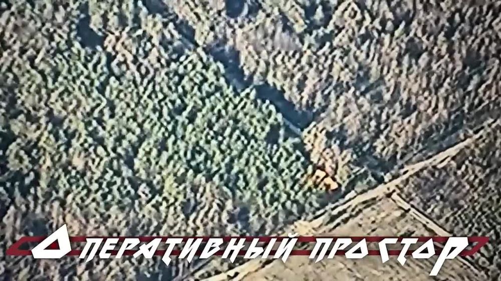 �� ����� ������ ������������ ����������� ������� � �������� ��� � ���������