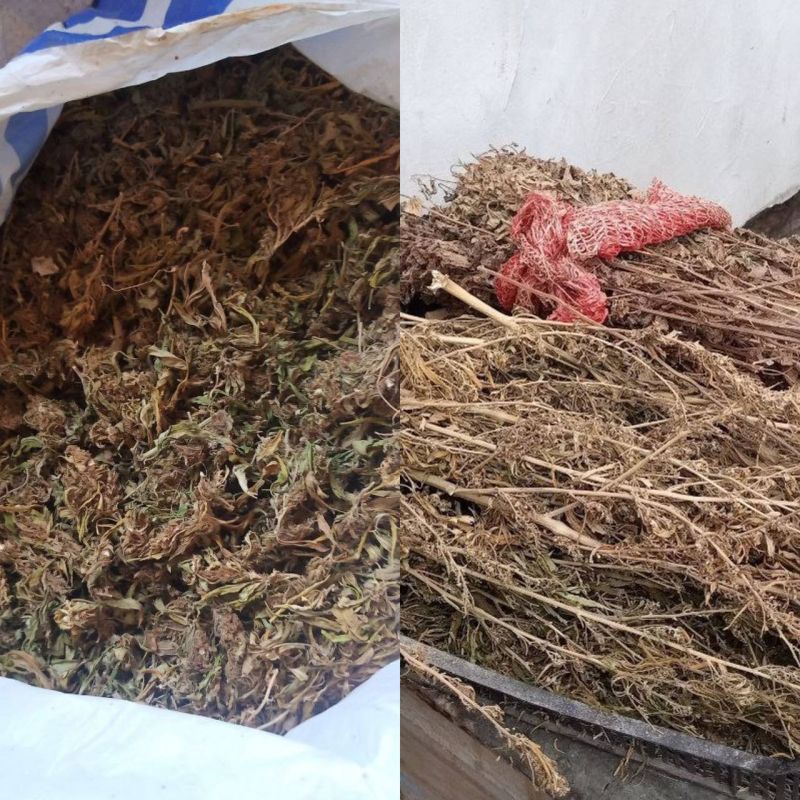 � ���� � ������ ������������ ����� ��������, ������������ ���������