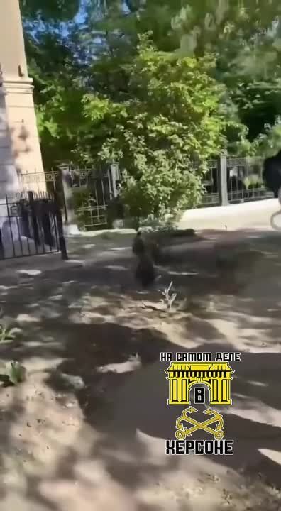 �� ������ ��������� ��� � �������� �� �������� �������������� �������� ���������� ���������