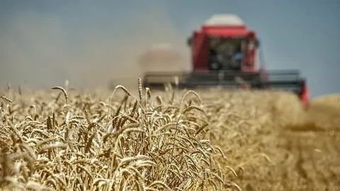 ������� ��������� ��������� � ���������� ������� � 2024 ���� ������� ������ 1,3 ���� ���