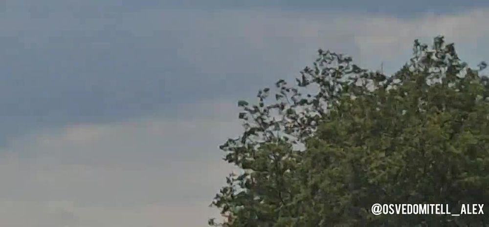 ���, ��� �� ��������. ��� ������ 30-�� ������������ �� ���������� �����������. ��������������� ����� ��������� ��� �������