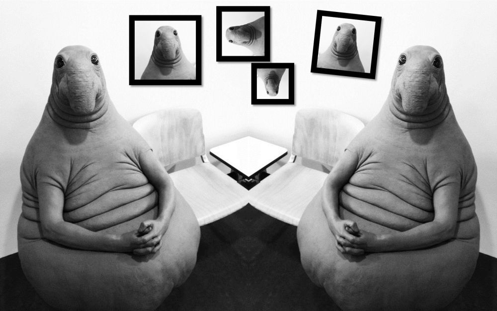 ���������� ��������� ������� ��������� ������ �� ������� � �����������