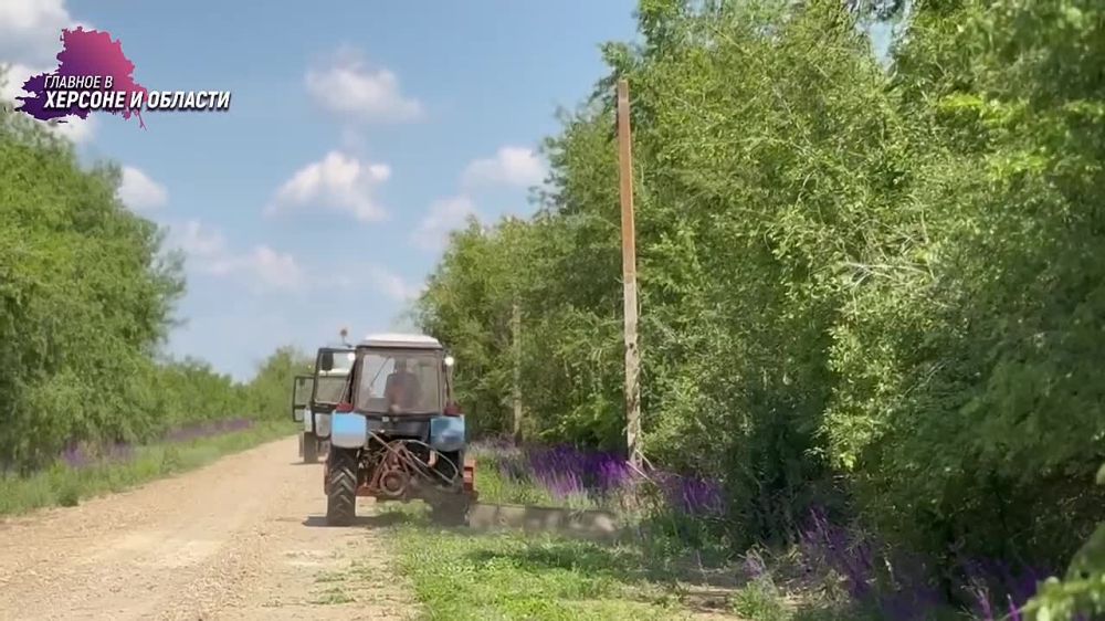 � ������������ ������ ���������� � ��������������� ������ �����