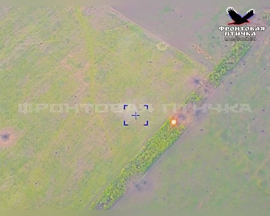 ��������� ������ ������������� �� �������� ���������