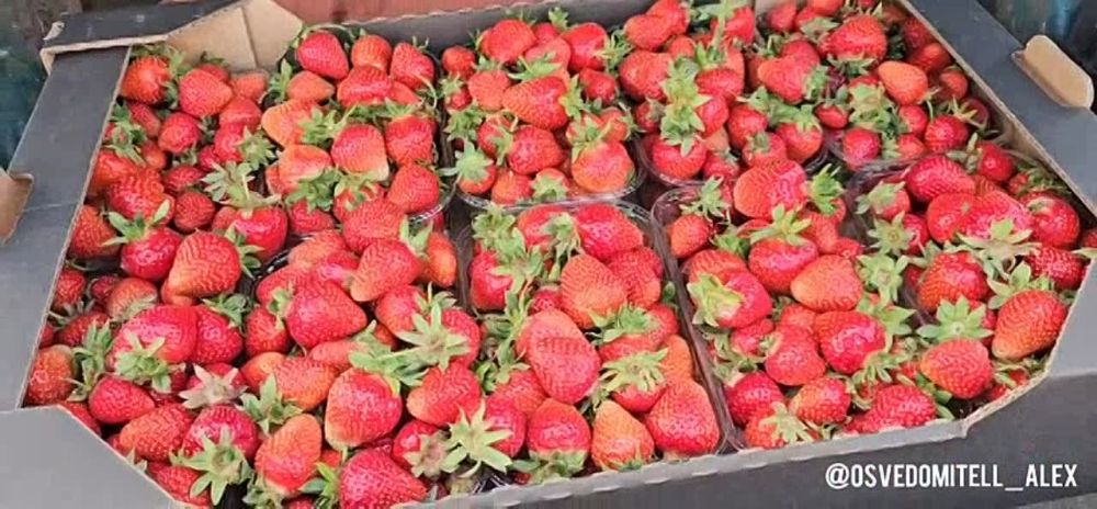 22.05.2024 30-�� ������������