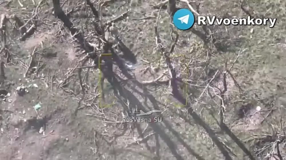 ������� ���������� ��������, ����������� ����������� � ���������