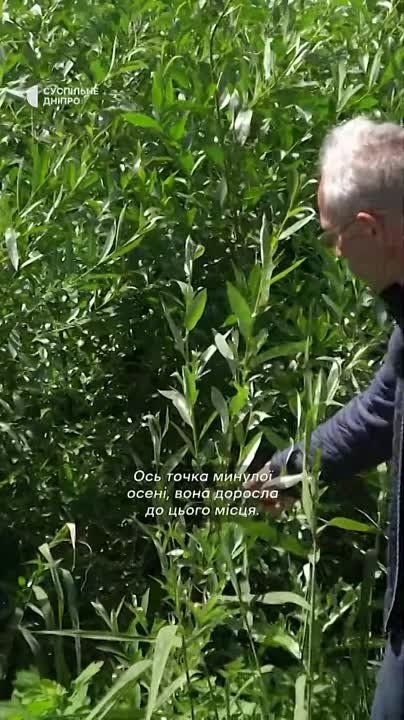 ��� ���������� ������������� ������������ � �������� ���