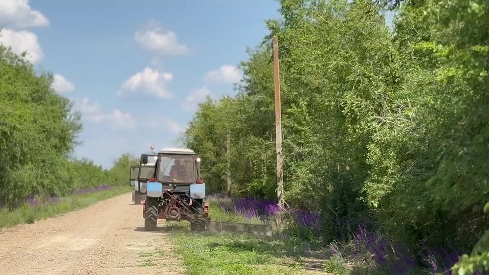 ������� ������������� ����� ������������� �������������� ������ �������� � ����������� ���������