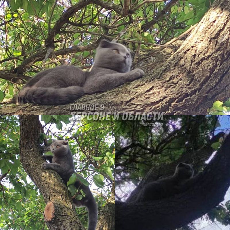 ��������� �� ���������� �������