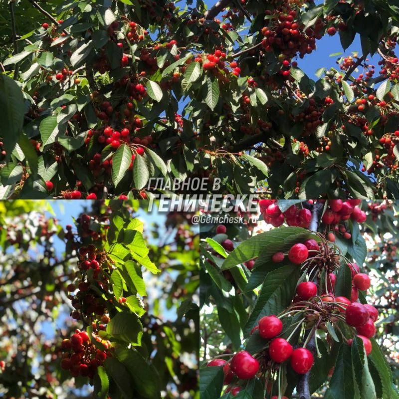 ���������� ������� � � ����� ������ ������� ������ �����