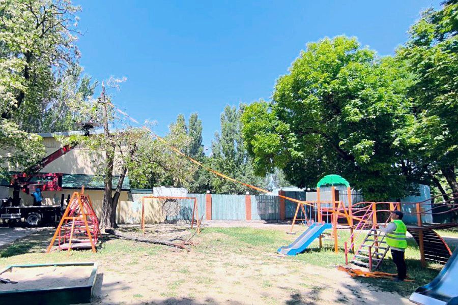 ��������߻ ����������� �������