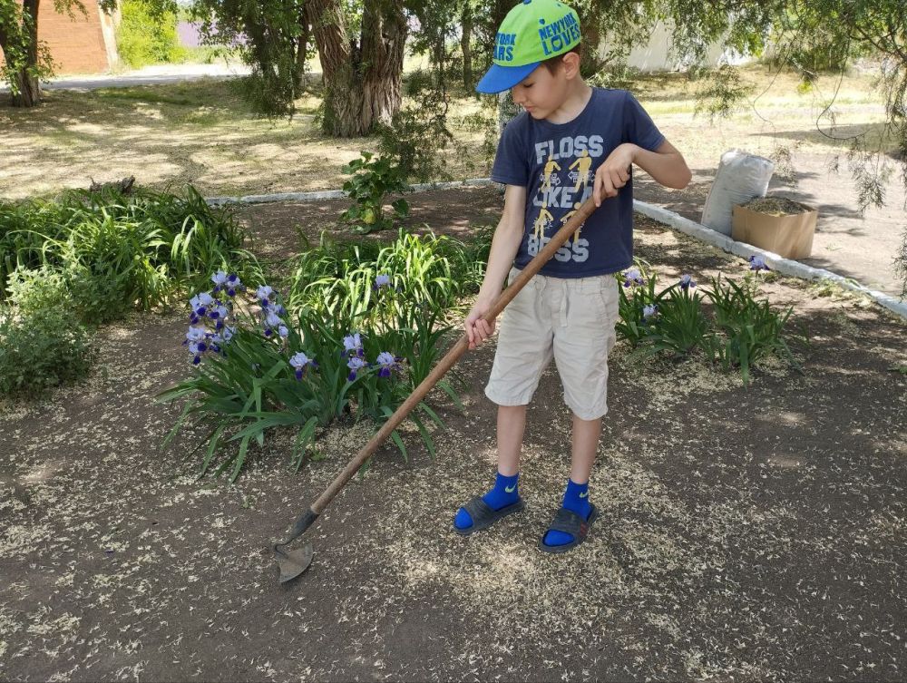 ����� ��������: ��������� � ���������. � ������ ����� ��������� ������ ����� ���� ������ ���������, ������� �������� ���������� ������� � ���� ��������, � �������� ����������� ��������� �� ������ � ��������� ����������� ����������