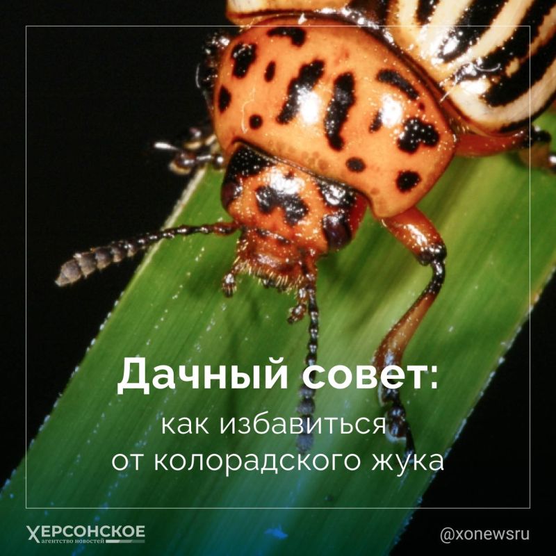 ����������� ��� � ������� ���� ������������ �����