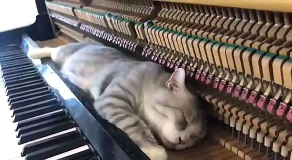 ���� ������� ������, ������!