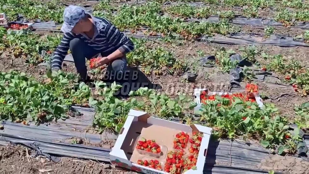 ������, ��������� � ���������� ������� � ���������� ������� �������� ������ ����� ��������