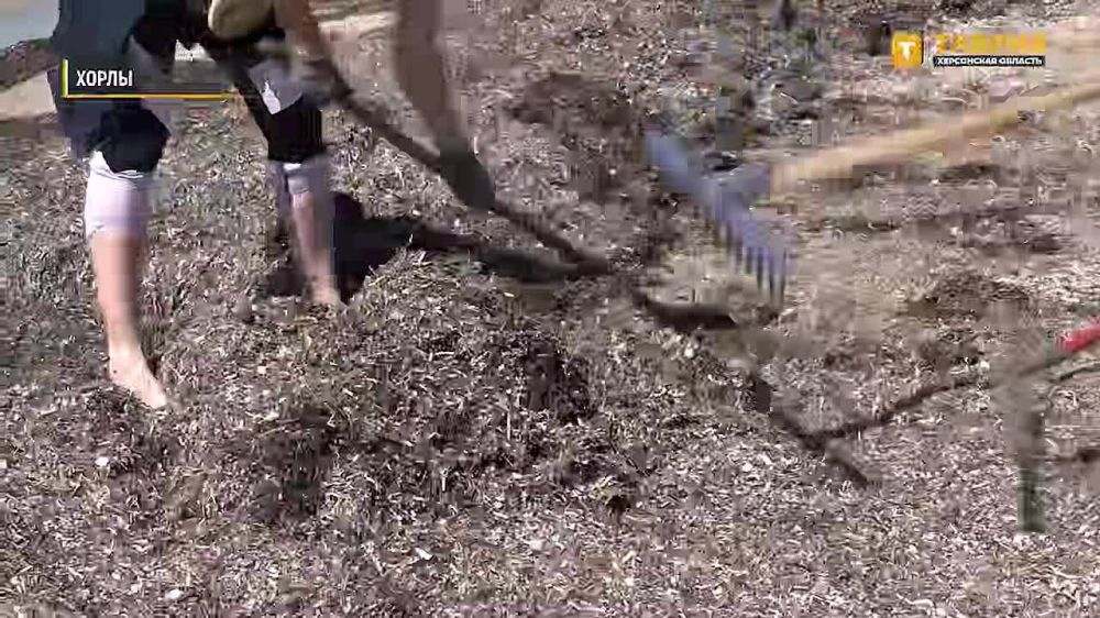 ����� ���������� ��������� ������� ������ ��������