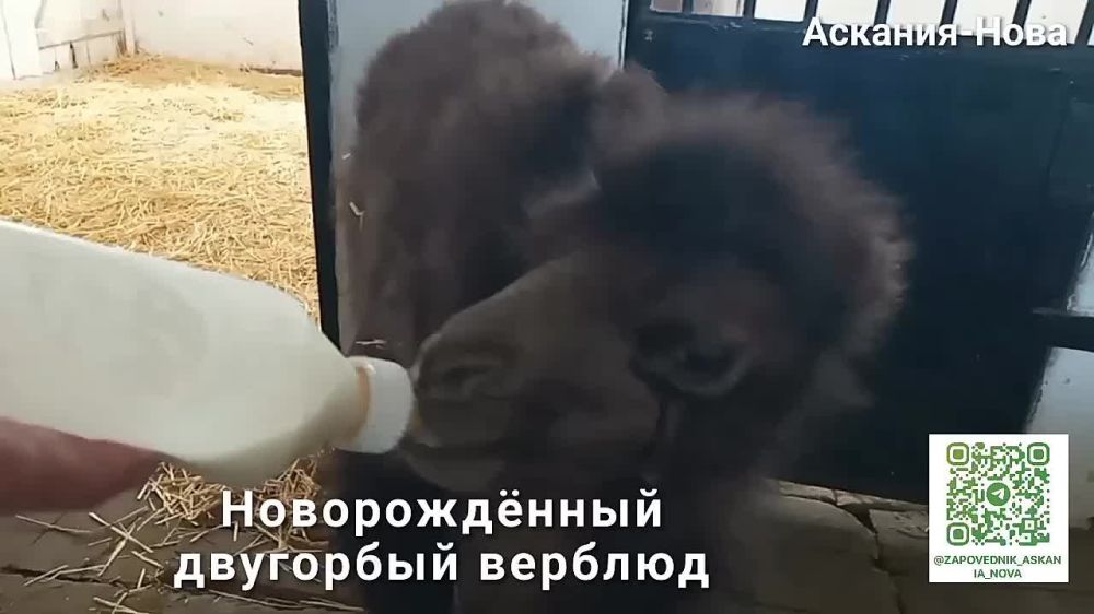 � "�������-����" ������� ��������� �����������