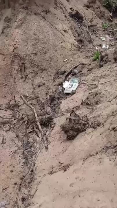 ������, ������ ���� ��� "�����" ������� ������� ���������� ���