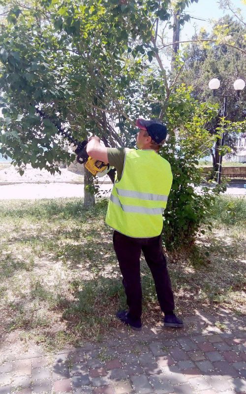 ��������������� ���������� ���������