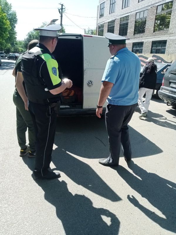 ���������� ����������������� � ���������� ������� ���������� 281 ����������, ����������� �������������� �����