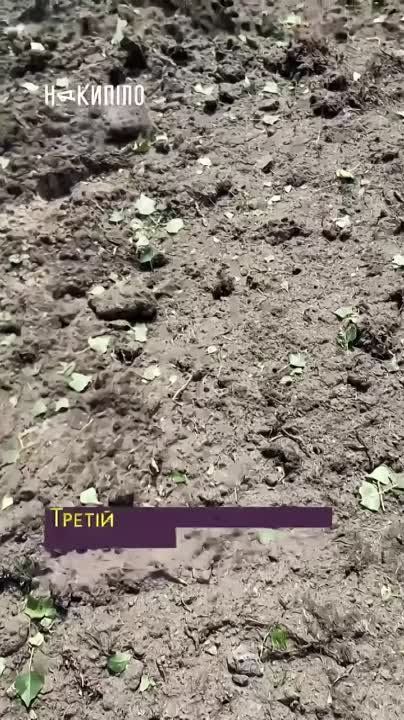 ����� ������ � ��������