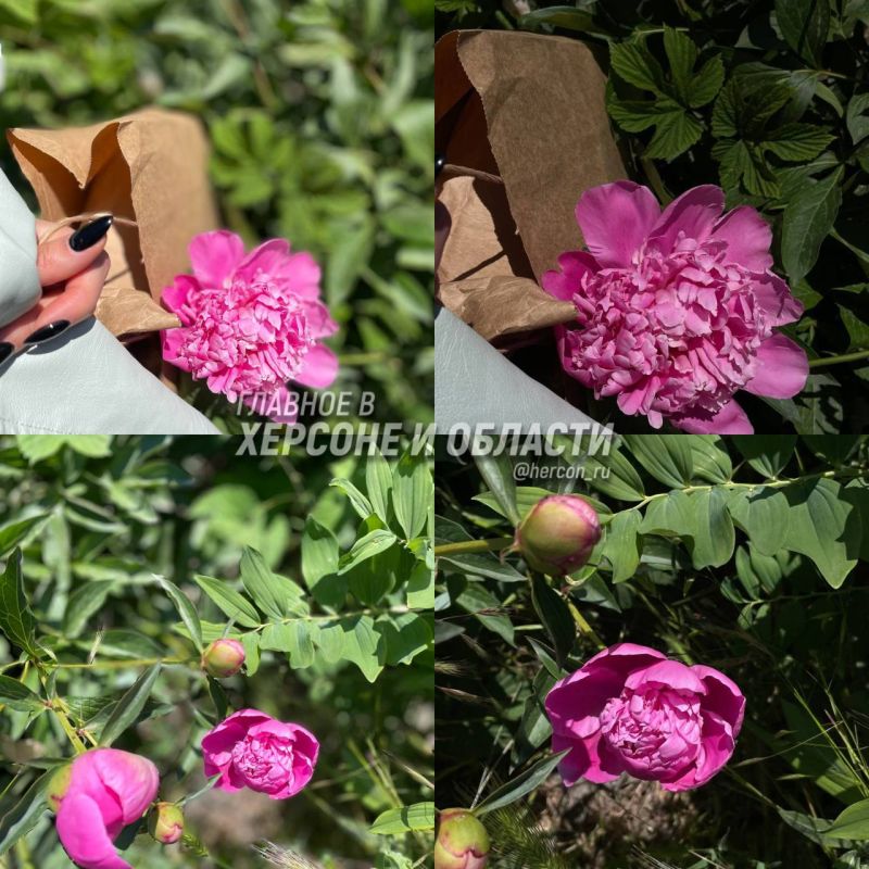 ������� ���������� ������ ������������