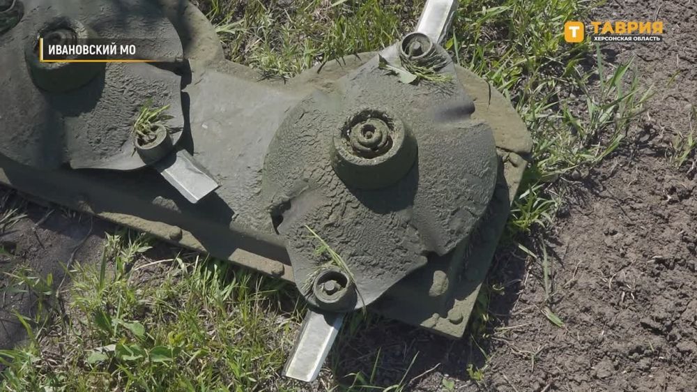 ������� ������ ������� ��������-����������������� ��������� � ���������� ���������