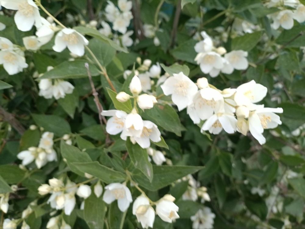 ���� ����� ����� �������� � ����-�� �����������