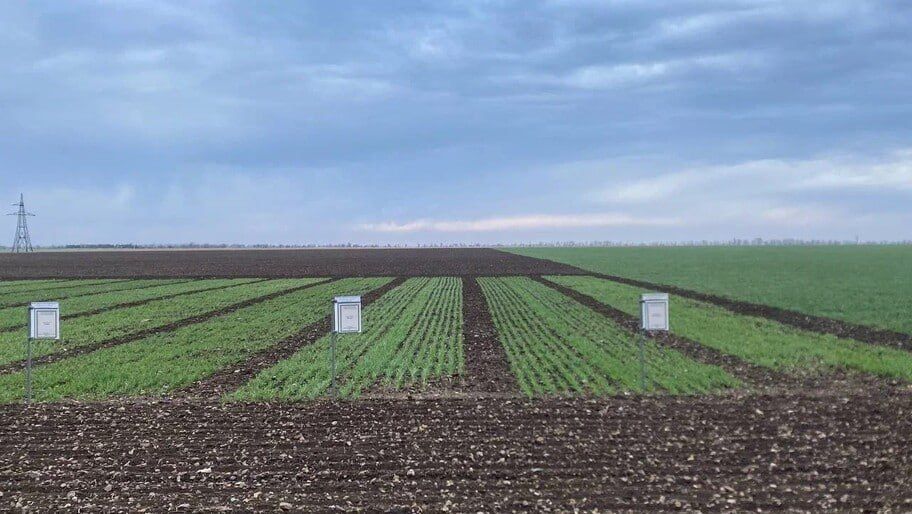 ���������� �������. ���������� ������� ������� � ���� ���� ����� 1,3 ���� ������ �� �������� ��������� ��������� ���������...