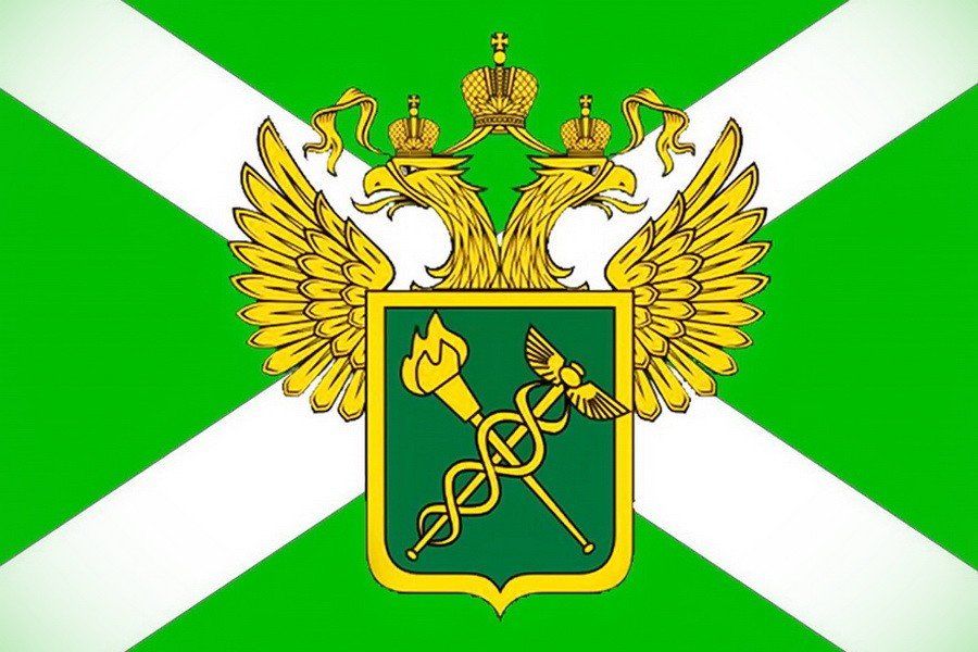 �.�. ���������� �������� ������� 29 ��� 2024 ���� ������� ������ ����� �������