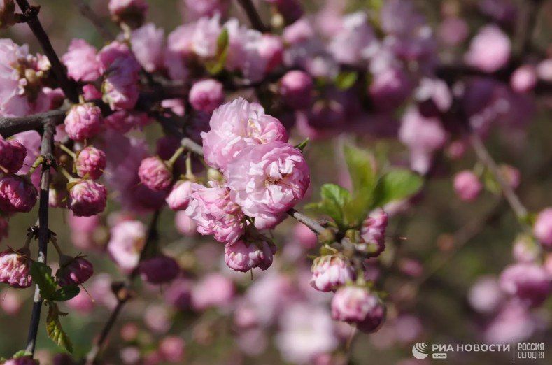 ������ �� ����� ����������� ������