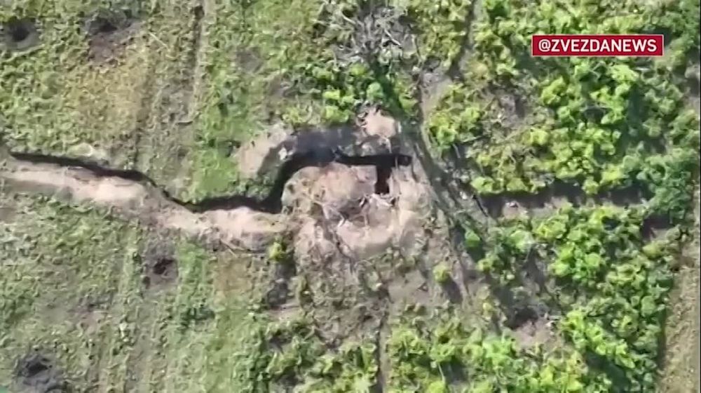 �������������� �� �� ���������� ������� ������ ��� � ���������