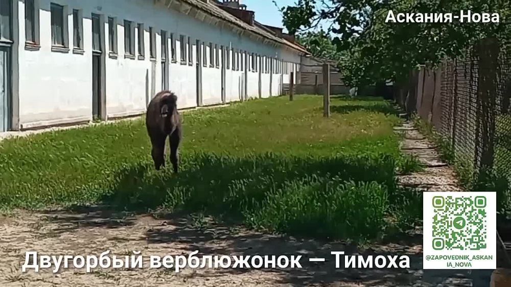 ���������� � ����������� ��������-���� ���������� ����������� ������� ���