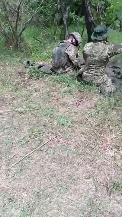 ��� � ���������. ���������� �� �����