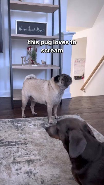 �� ����� ��� ��� ������ "�����"