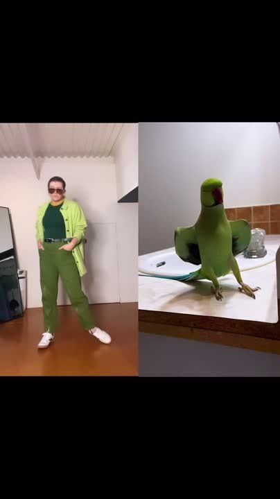 ���� � ��������. �������� ����������!