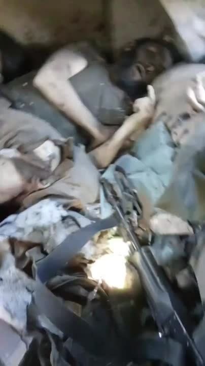 �� ����� �� ������������ ������� ���������� ��� �������� ���������� ����������� ���� ������ ���