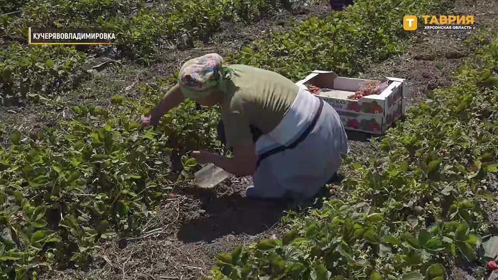 � ���� �������������������� ����������� ������ ������������ ���� ��������