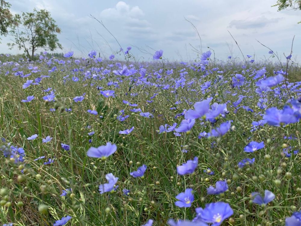 ����� ����������: ��� ������� ���������� �������!