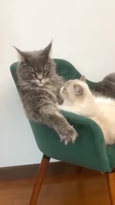 ������ �����, ������!. ����������, �� ������ �� ������� ��������� � �������, ���������� � ������ � �������, � ��������� � �� ��� ���� �����, � ������ ������������� �� �������