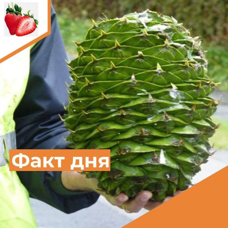 � ��������� ���� ��� �����, �� ������� ������ ����� �������� � �����, ����� �� 10 ��